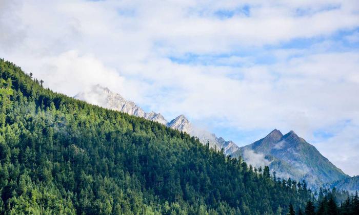 Comprehensive Wellness Exams – Signature Sleeves LLC